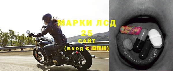 сатива Кулебаки