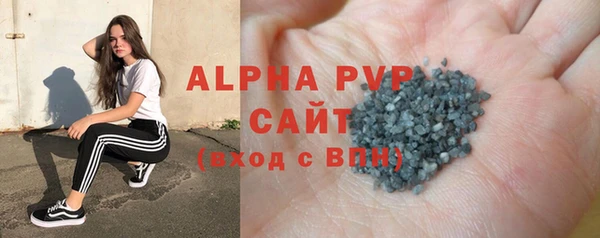 сатива Кулебаки
