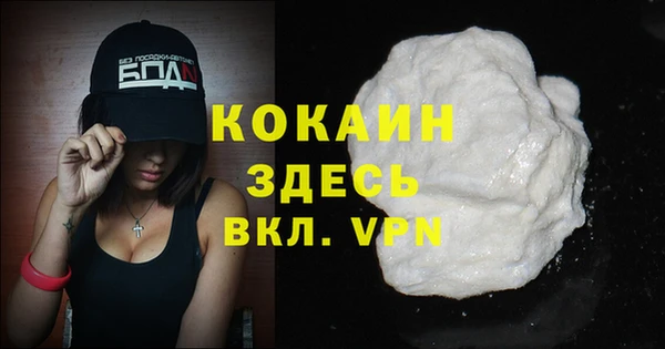 сатива Кулебаки