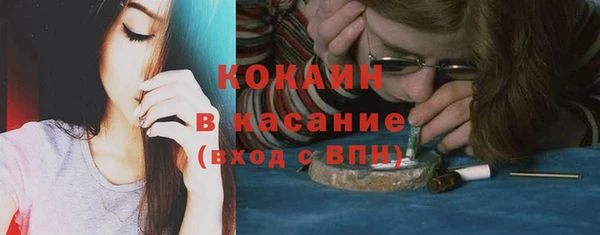 сатива Кулебаки