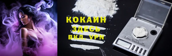 сатива Куйбышев