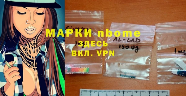 сатива Куйбышев