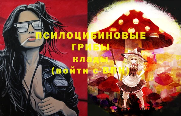 тгк Кукмор