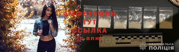 сатива Кулебаки
