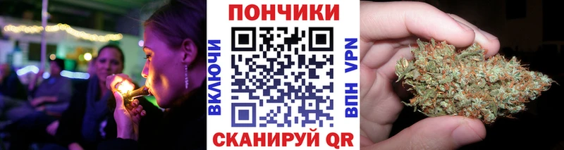 Каннабис OG Kush  Купить где  Строитель 